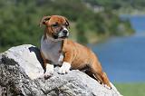 STAFFIE 094